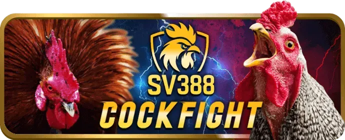 Vé xổ số với các con số may mắn